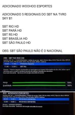 SBT.jpeg