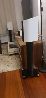 SonusFaberVenere1.5_Lateral.jpg