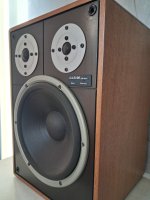20250314_170443.jpg
